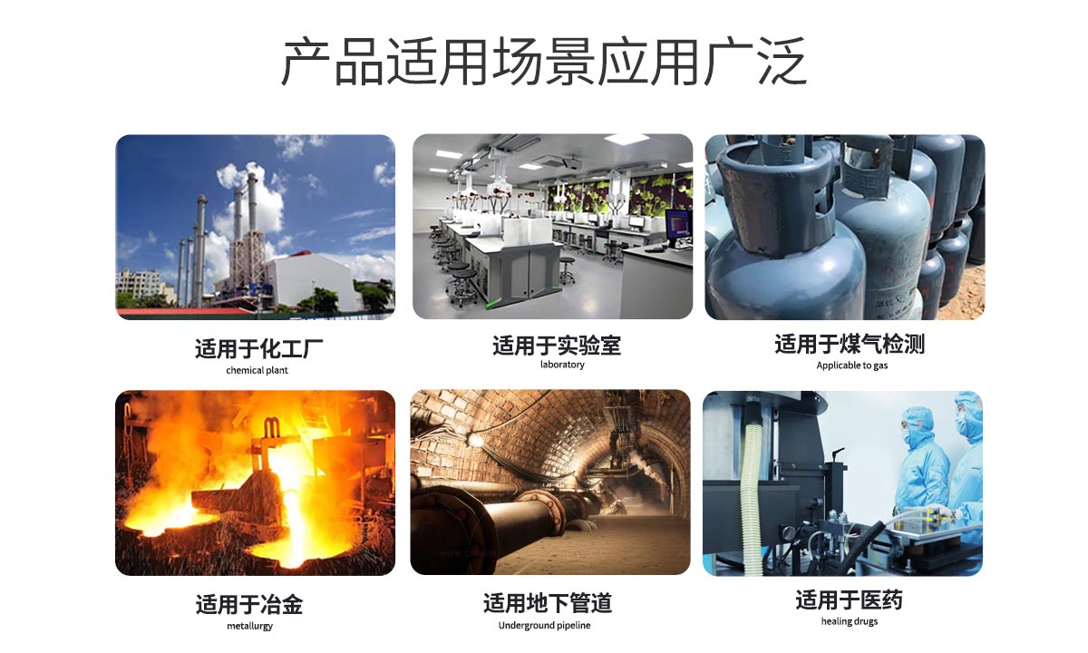 便攜擴(kuò)散式氣體檢測儀-便攜有毒氣體測量儀-擴(kuò)散式可燃?xì)怏w報警儀 便攜擴(kuò)散式氣體檢測儀-便攜有毒氣體測量儀-擴(kuò)散式可燃?xì)怏w報警儀